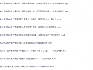 嘉嘉成人羽毛球基础进阶三合一精品课 4G