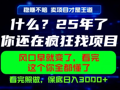 26年，请不要疯狂的找项目做了！卖项目才是真的稳賺不赔，看完照做，保底日入1k+【揭秘】