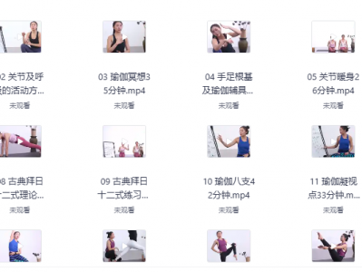 2025最新《瑜伽从初级到高级100课》全套教程，私藏好课免费分享！