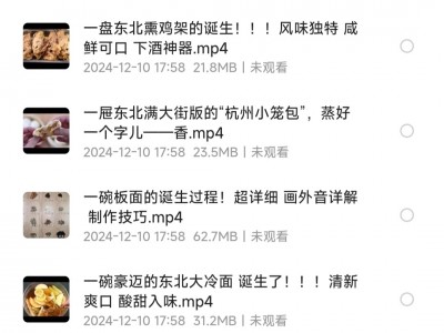 【132道大厨做菜教学视频】各种美食做法 价值上千元 饕餮美食 提升厨艺【MP4/8GB】