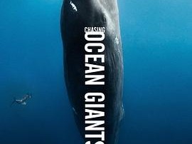 【9.0高分记录片】追踪海洋巨兽 (2021) 4K 全8集 中英硬字幕