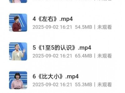 小学1-6年级名师授课(大小：182GB)