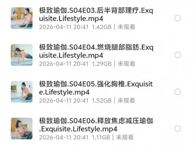 【花了399淘宝买的】极致瑜伽 (1~6季)，非常稀缺的素材