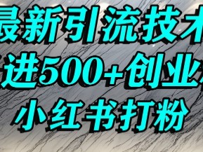小红书精准引流创业粉，前辈求带孩子走投无路了，单人操作日引500+精准创业粉