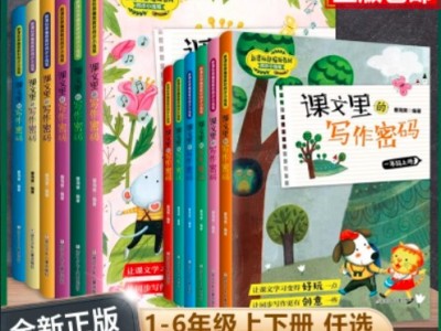 《课文课里的写作密码》小学作文视频课程 14.9GB