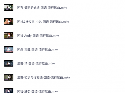 MTV精选1万首（自带卡拉ok音轨，在家唱歌）经典MV大全