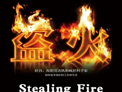 盗火：硅谷、海豹突击队和疯狂科学家如何变革我们的工作和生活