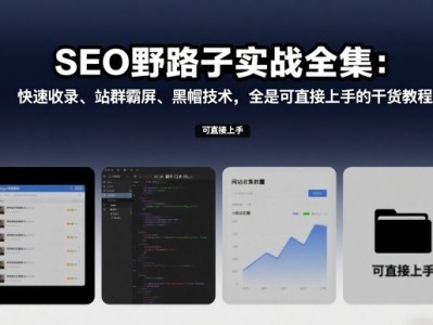 SEO野路子实战全集：快速收录、站群霸屏、黑帽技术，全是可直接上手的干货教程