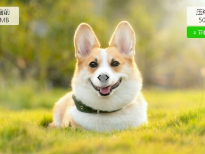 图压-免费开源图片批量压缩软件|一键指定尺寸&大小|支持Win/Mac