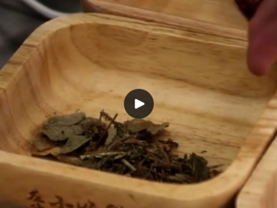 20250811美食实体店配方-共 580 个项目【292.4GB】