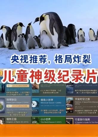 202510171760671079368587.jpg 202510171760671079368587.jpg