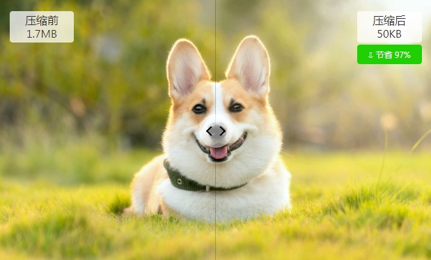 图压-免费开源图片批量压缩软件|一键指定尺寸&大小|支持Win/Mac