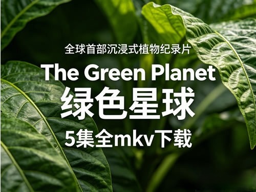 《Daily Dictation》843集mp4全下载-油管超火的美国外教Shane每日听写训练.jpg 《Daily Dictation》843集mp4全下载-油管超火的美国外教Shane每日听写训练.jpg